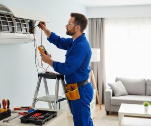 6-Ac-repair 6-Ac-repair